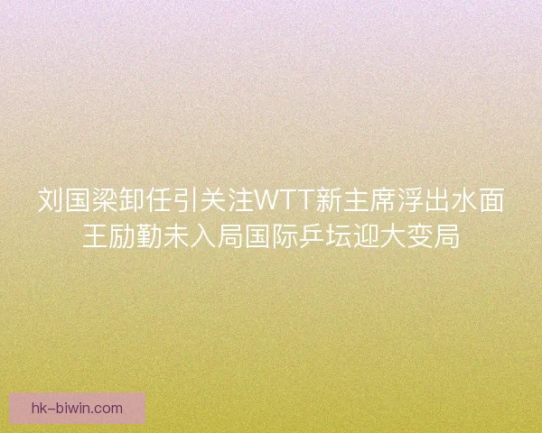 刘国梁卸任引关注WTT新主席浮出水面王励勤未入局国际乒坛迎大变局